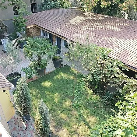 In Timisoaracom Temešvár