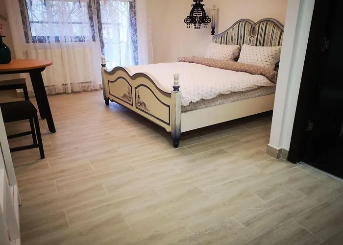 In Timisoaracom Temešvár