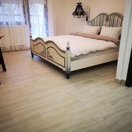 In Timisoaracom Temeşvar