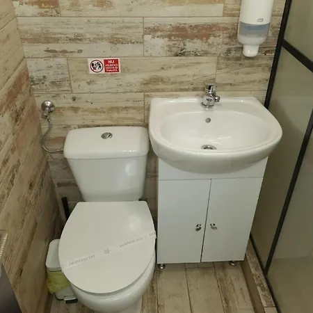 In Timisoaracom * Temeşvar