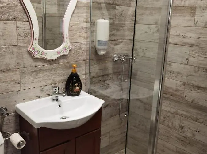 In Timisoaracom * Timişoara