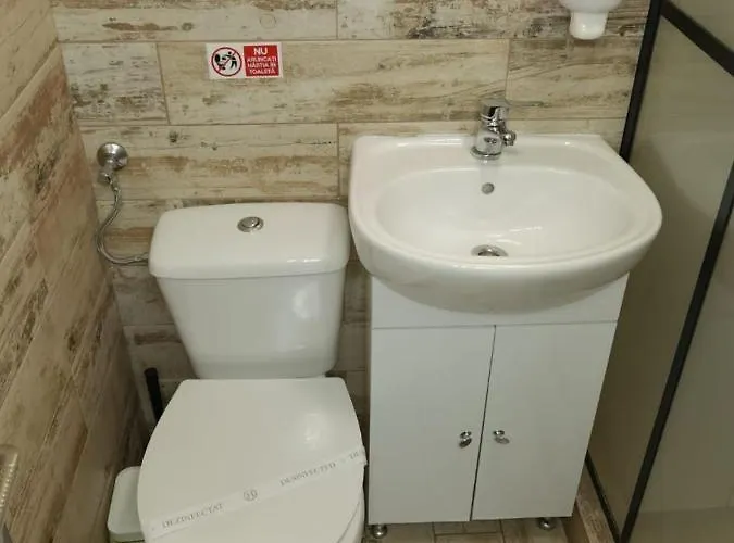 In Timisoaracom * Timişoara